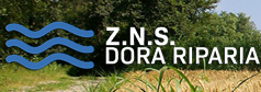 ZNS Dora Riparia