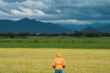 Contributi imprese agricole eventi avversi estate 2025