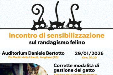 Incontro di sensibilizzazione sul randagismo felino